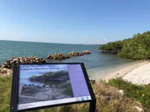 Image of Living Shorelines